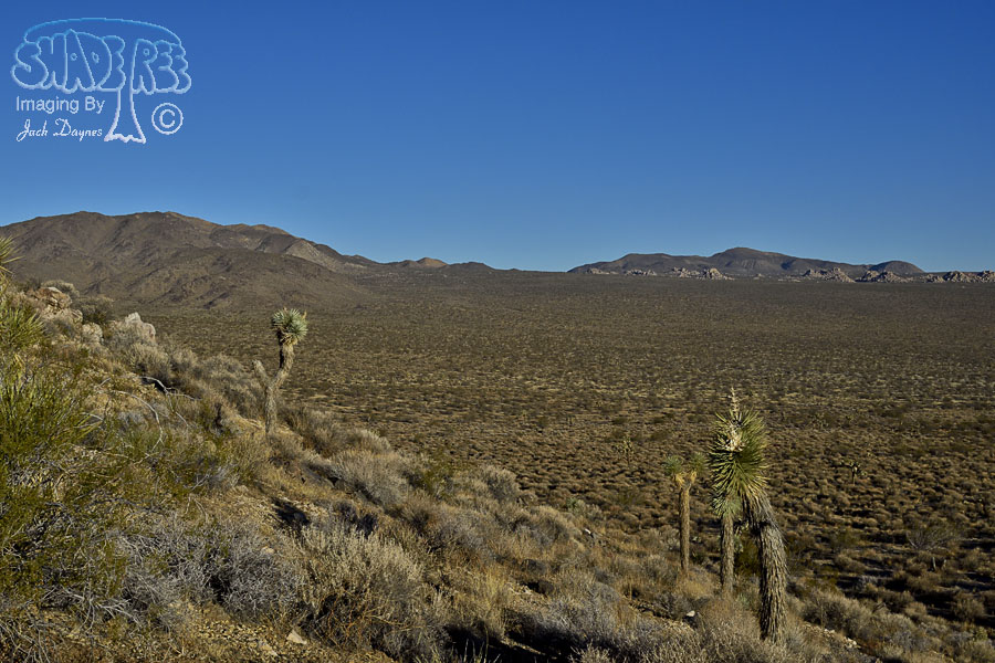 Desert Sunrise - n/a