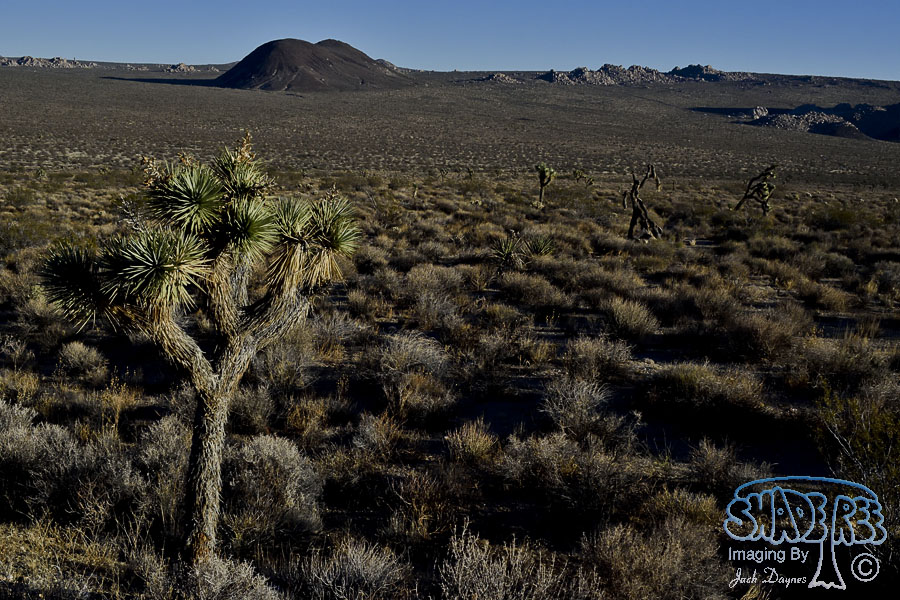 Desert Sunrise - n/a