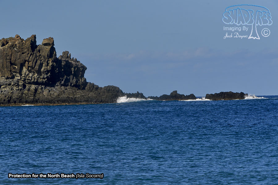Protection for the North Beach - Isla Socorro