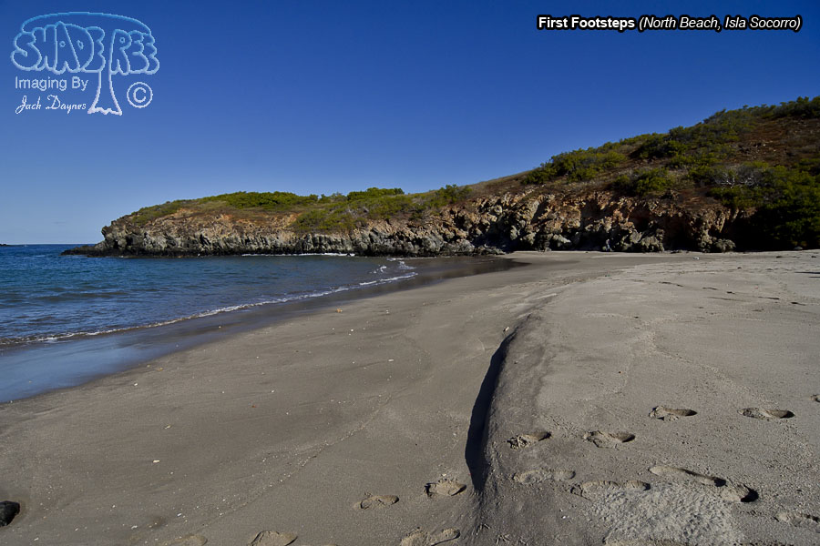 On North Beach - Isla Socorro