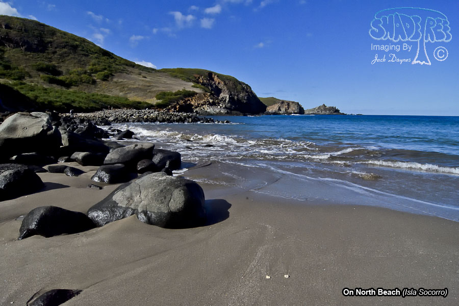 On North Beach - Isla Socorro