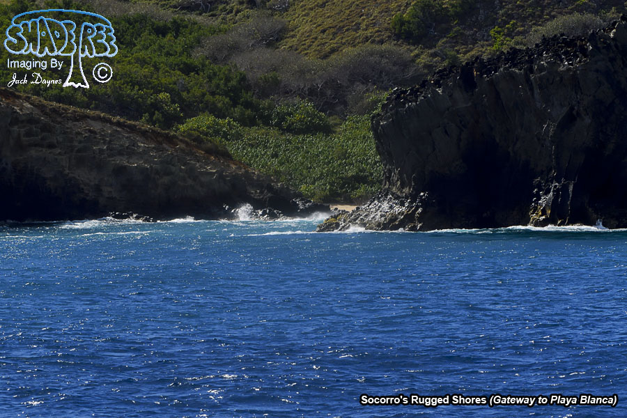 Socorro's Rugged Shores - n/a