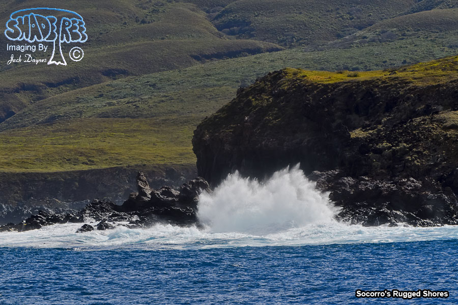 Socorro's Rugged Shores - n/a