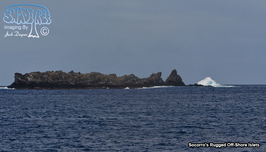 Socorro's Rugged Off-Shore Islets - n/a