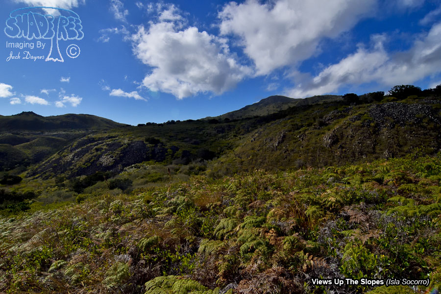 Views From The Slopes - Isla Socorro
