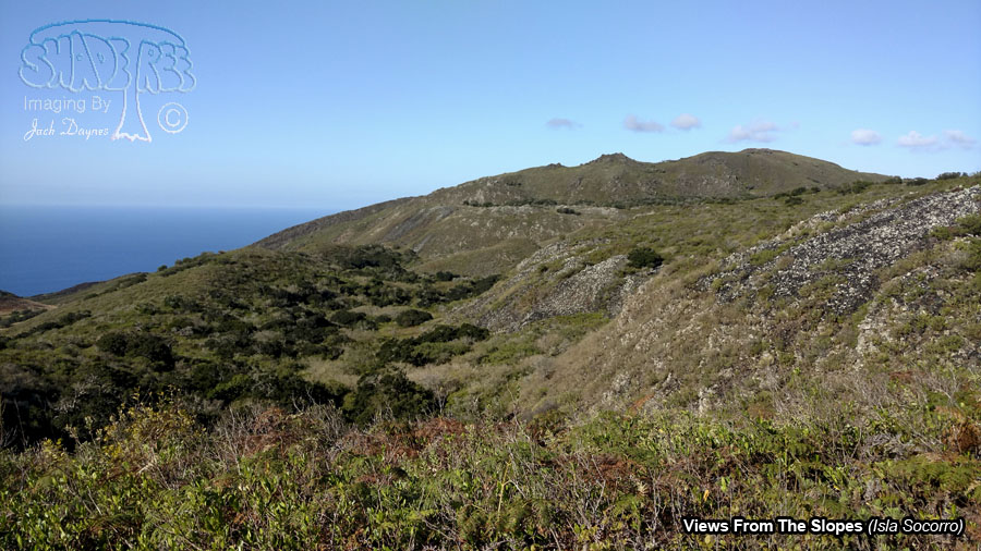 Views From The Slopes - Isla Socorro