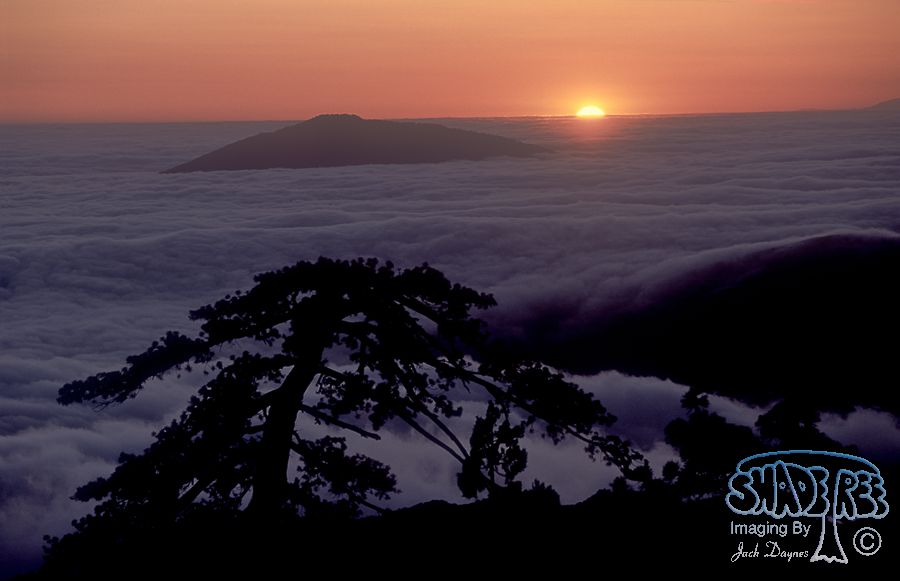 Santa Rosa Sunset - Scenery