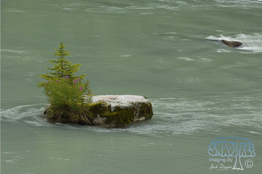 Views From Haines Alaska - Scenery