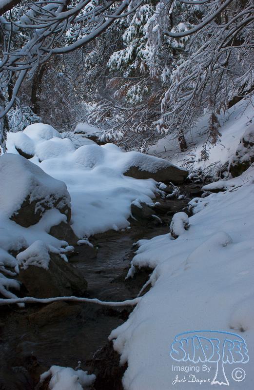 Snowscape - n/a