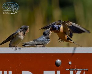 2019-08-12 Eureka and Points South