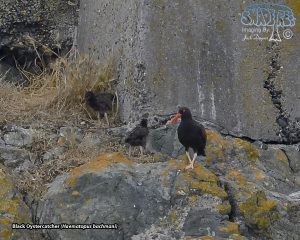 2019-08-10 Crescent City