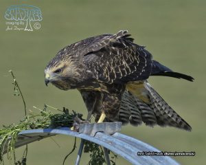 2019-08-18 Klamath Basin