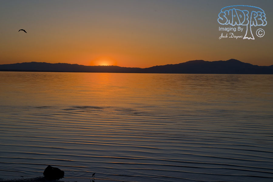Salton Sea Sunset - n/a
