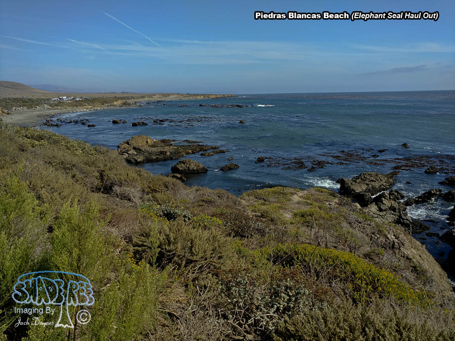 Piedras Blancas Beach - Scenery