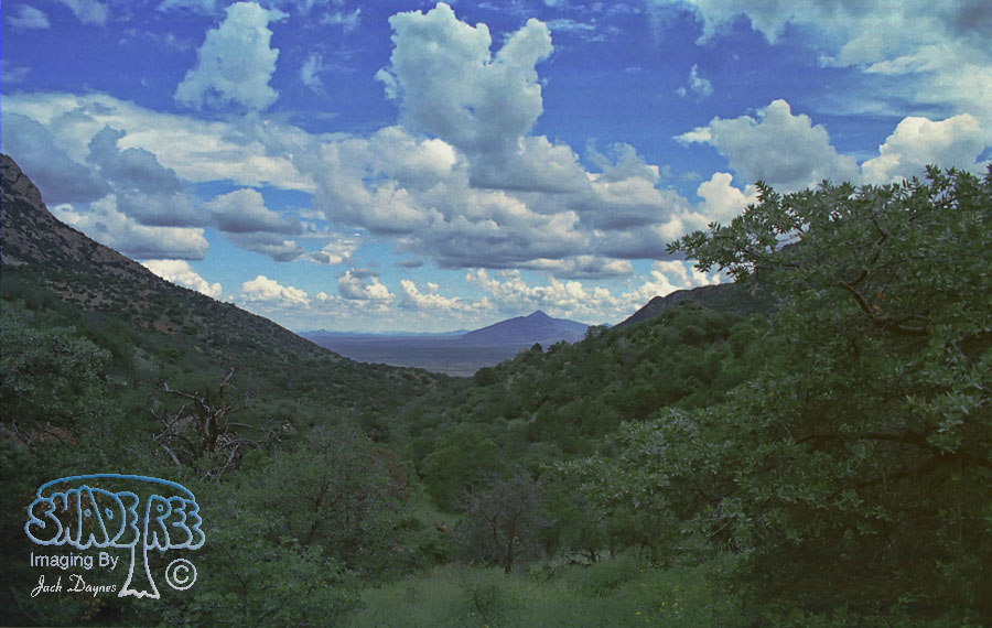 View From The Huachucas - Scenery