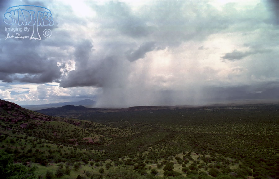 Arizona Monsoon Rain - Scenery
