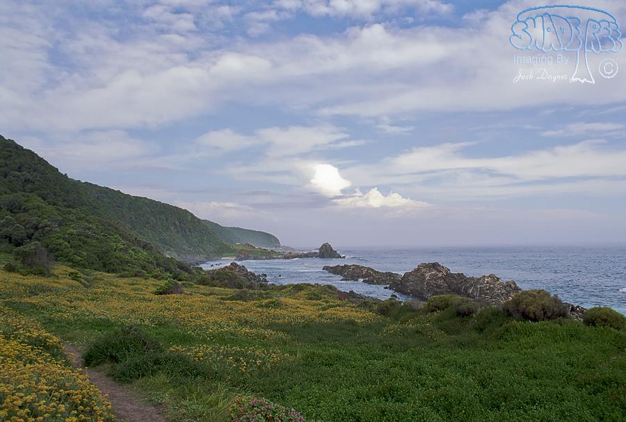 On the Otter Trail - Scenery