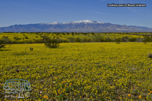 2020-02-27 – Drive from Thatcher to Las Cruces