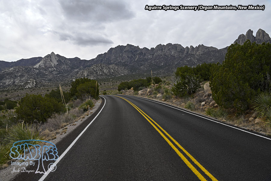Aguirre Springs Scenery - Scenery