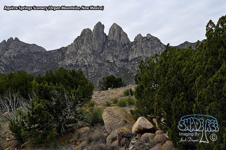 Aguirre Springs Scenery - Scenery
