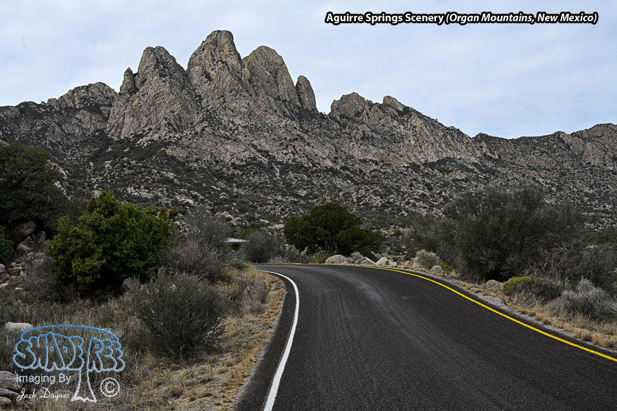 Aguirre Springs Scenery - Scenery