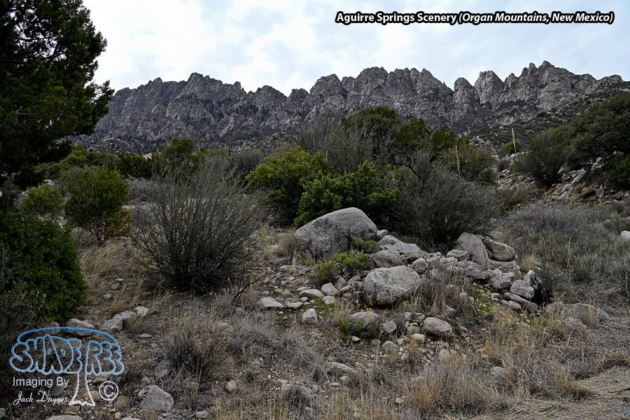 Aguirre Springs Scenery - Scenery