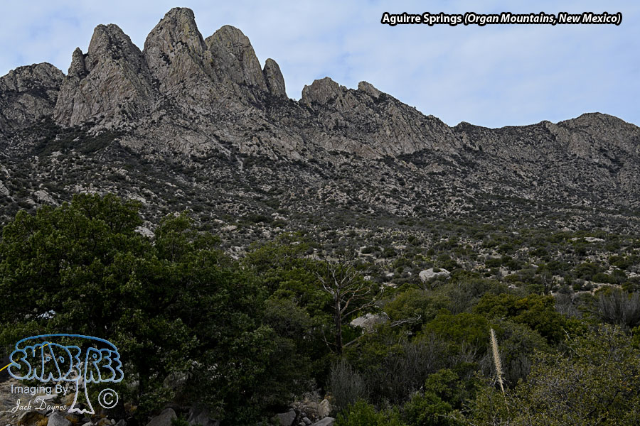 Aguirre Springs Scenery - Scenery