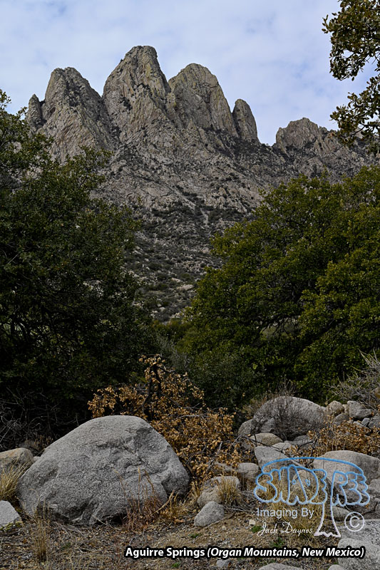 Aguirre Springs Scenery - Scenery