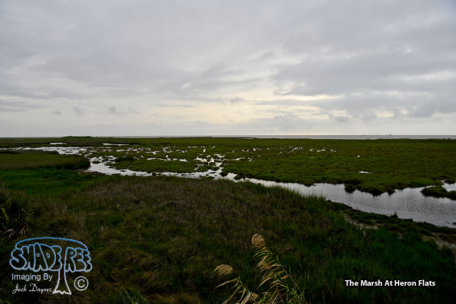 The Marsh At Heron Flats - Scenery