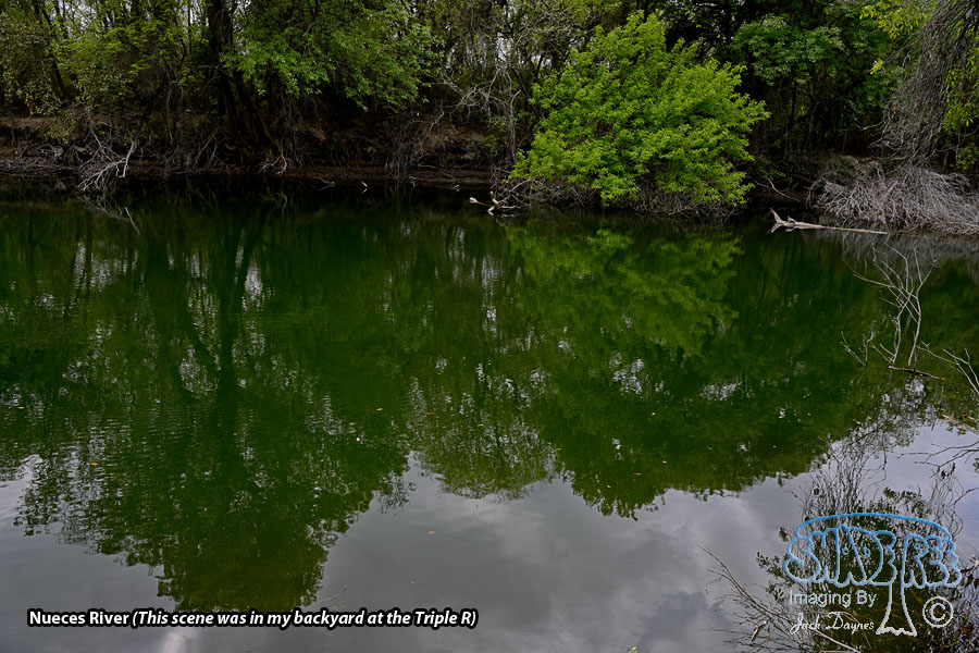 Nueces River - Scenery
