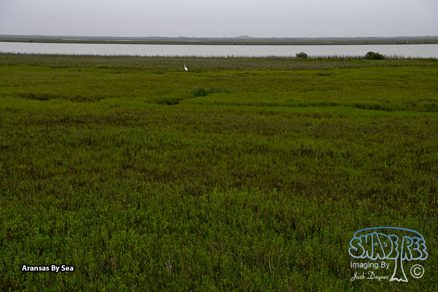 Aransas By Sea - Scenery