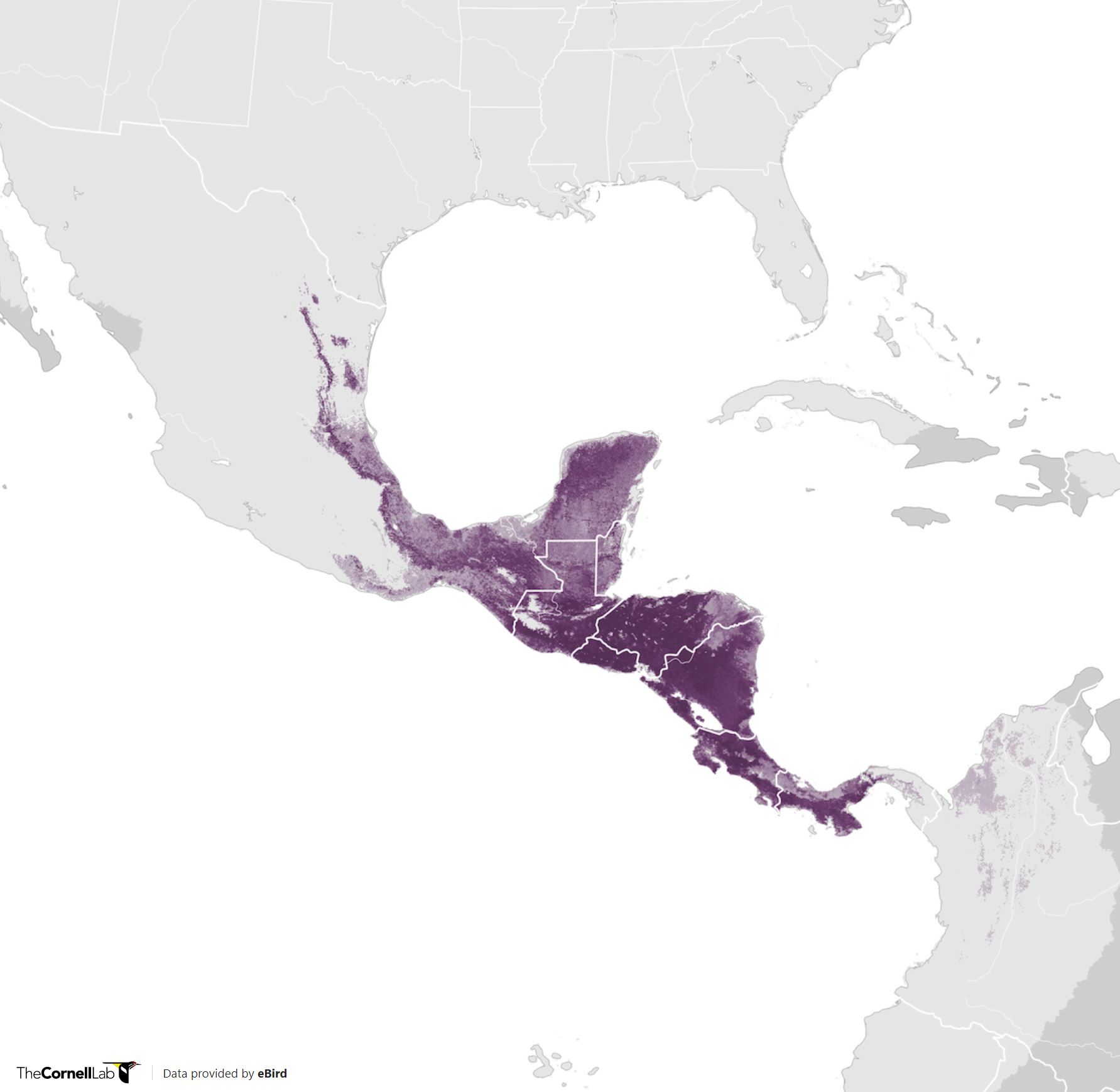 Range Map for Clay-Colored Thrush