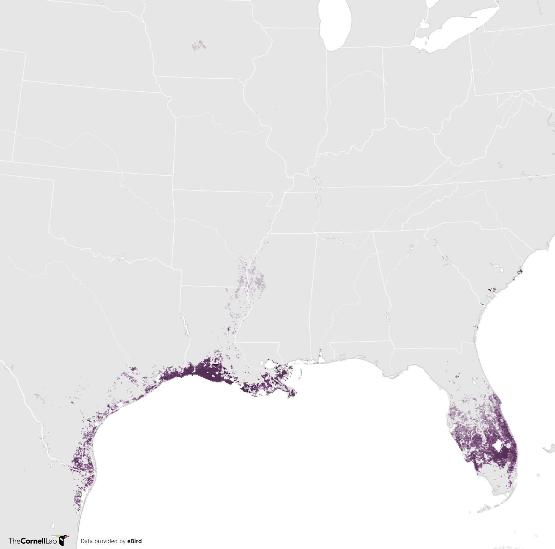 Range Map for Mottled Duck