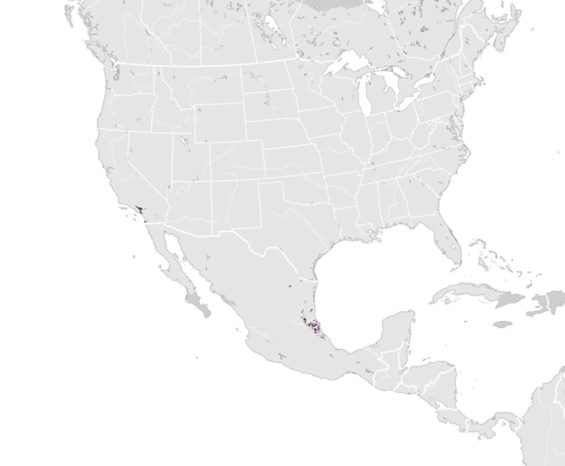 Range Map for Red-Crowned Parrot