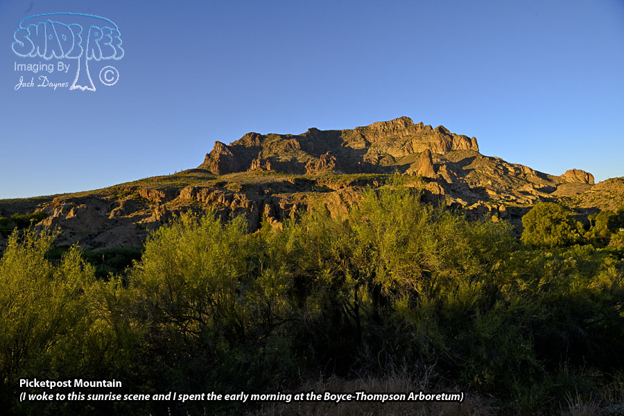 Picketpost Mountain - Scenery