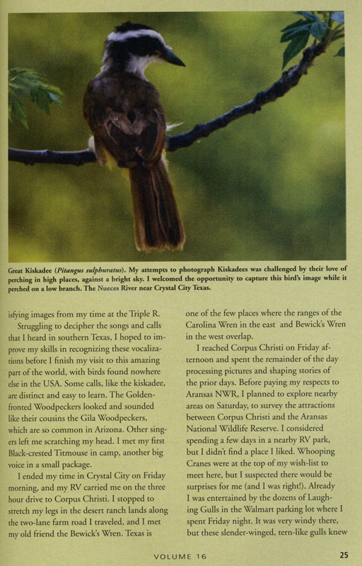 Page 25 - n/a