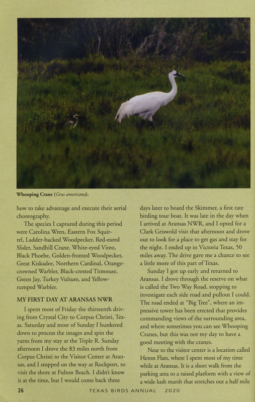 Page 26 - n/a