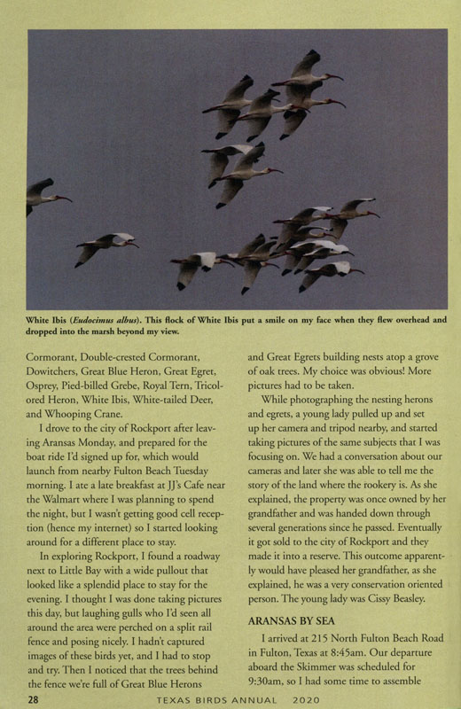 Page 28 - n/a
