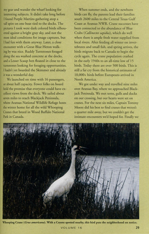 Page 29 - n/a