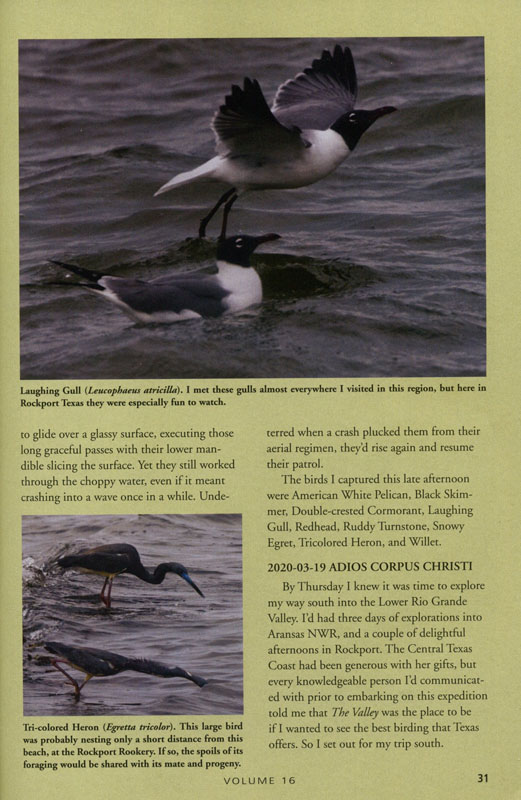 Page 31 - n/a