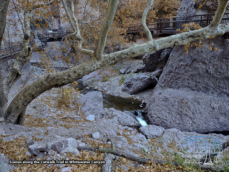 Catwalk Trail - Scenery