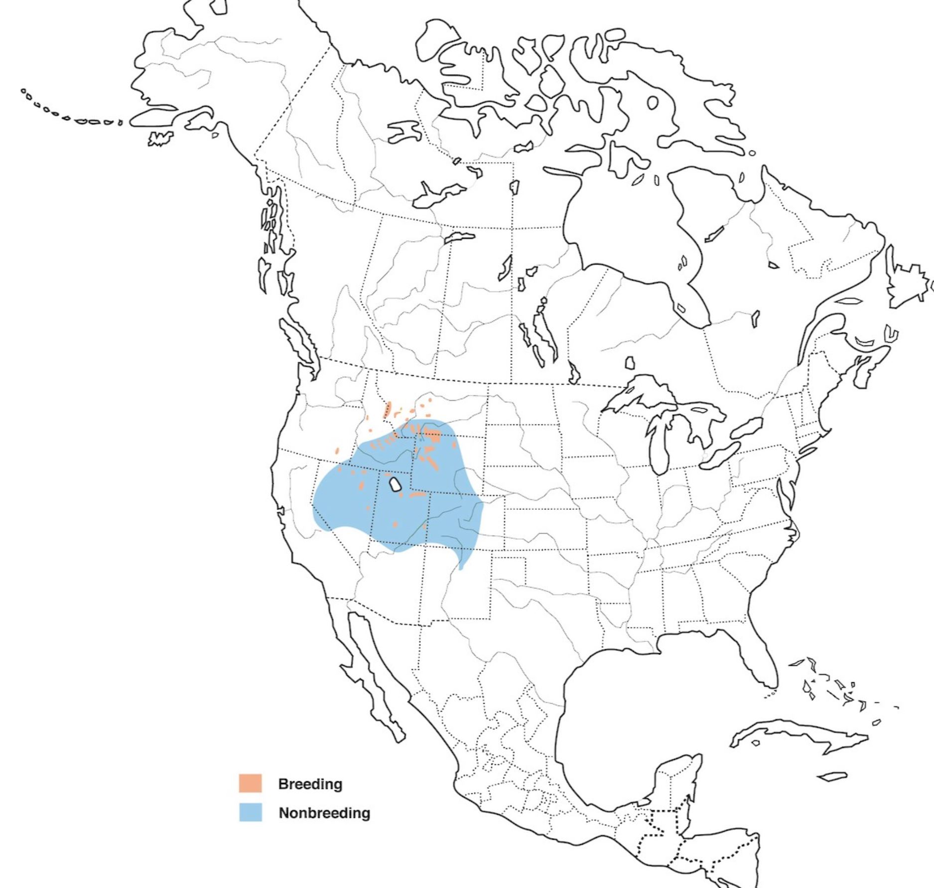 Range Map for Black Rosy-Finch