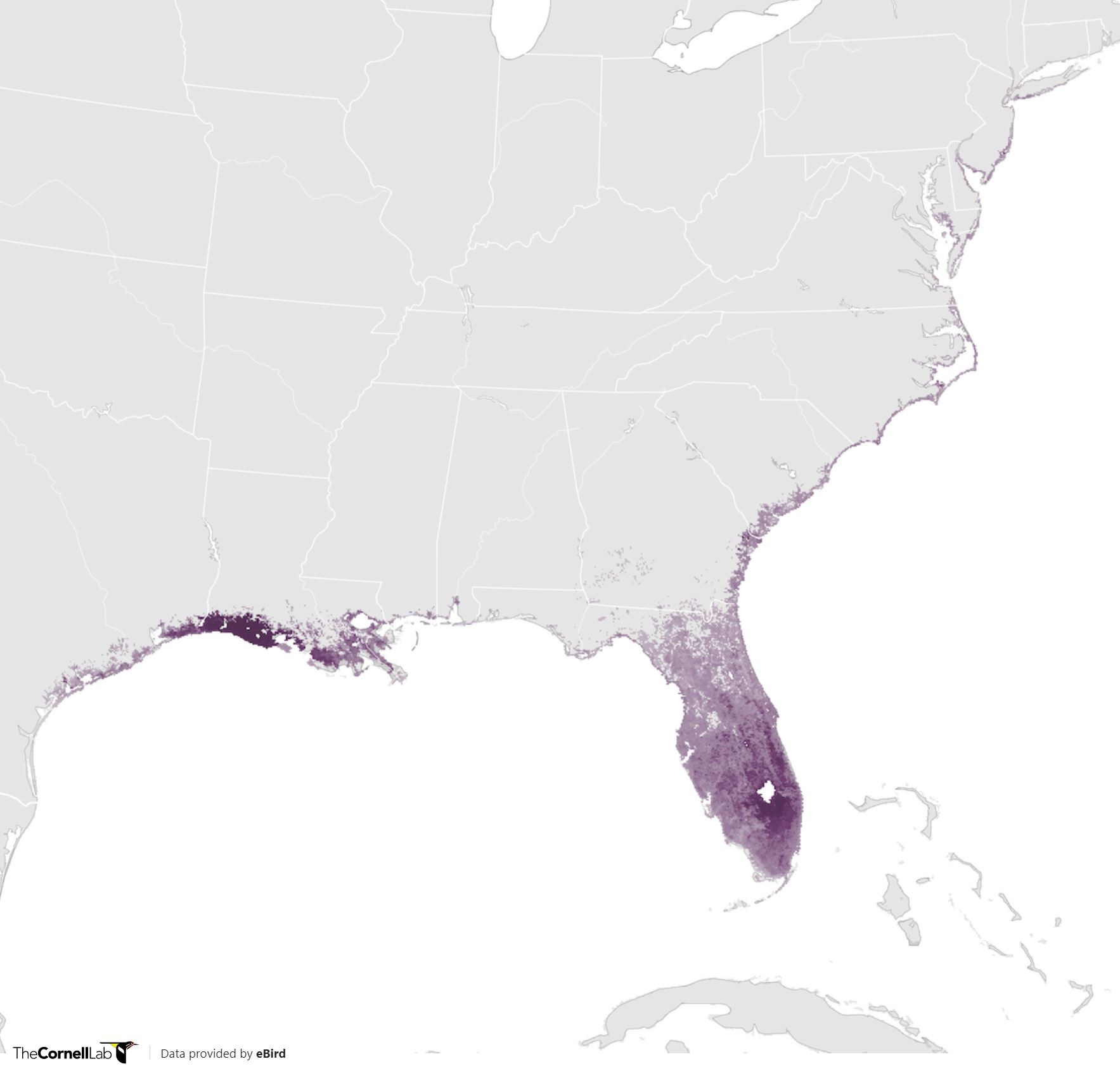 Range Map for Boat-Tailed Grackle