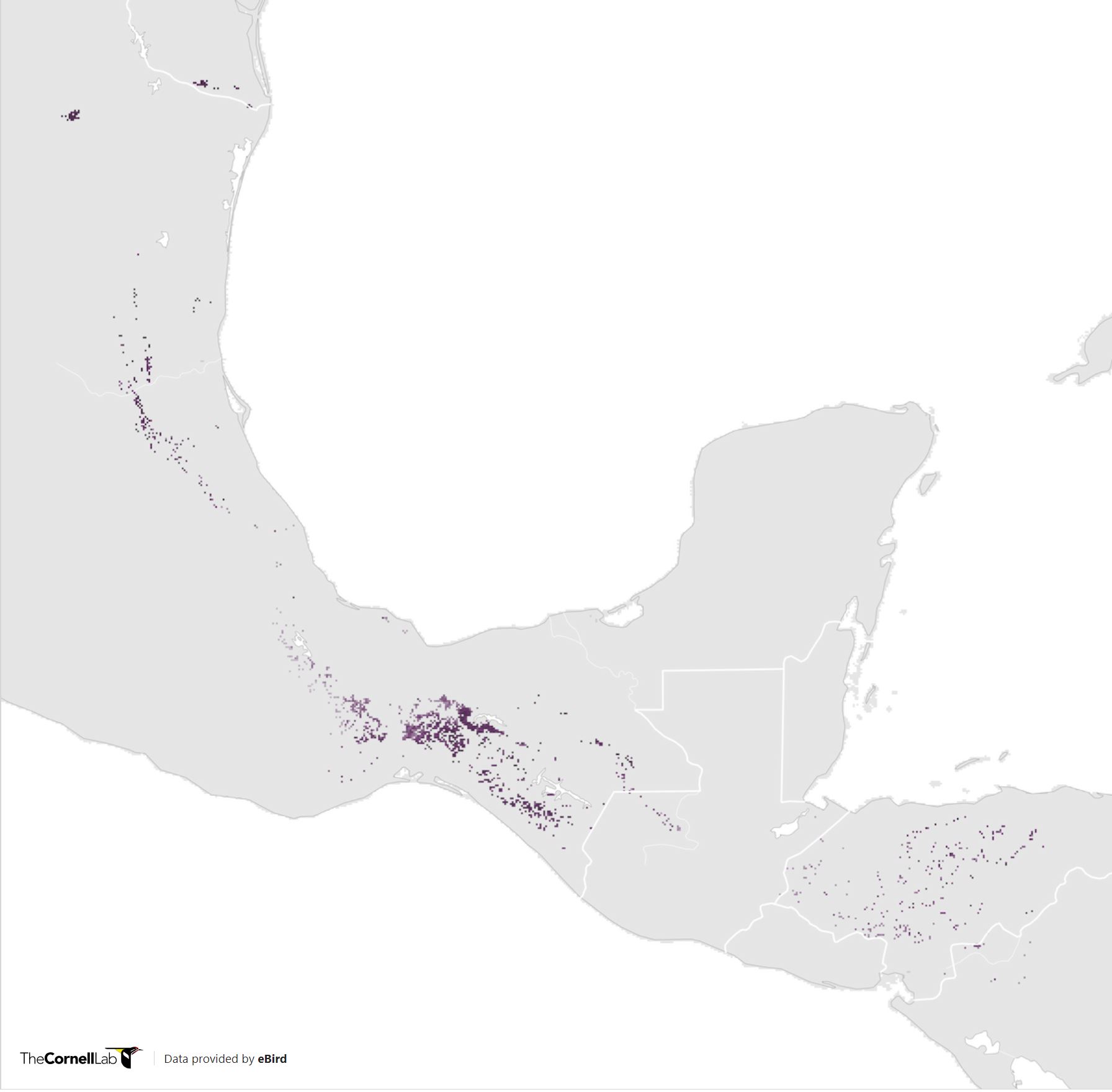 Range Map for Green Parakeet