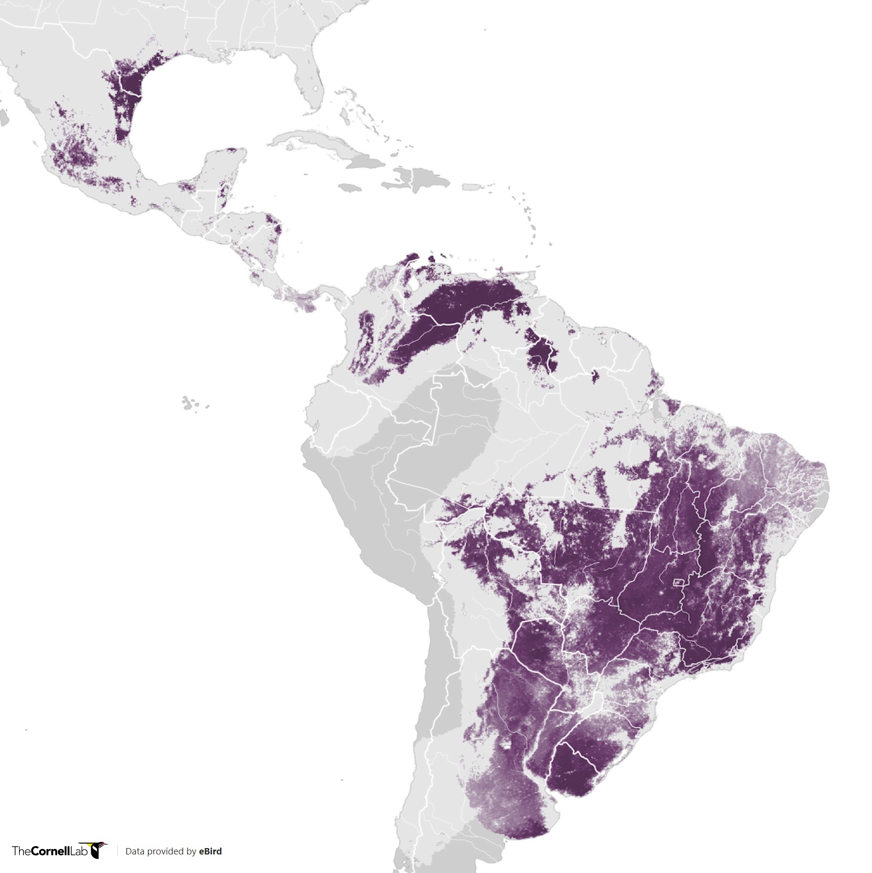 Range Map for White-Tailed Hawk