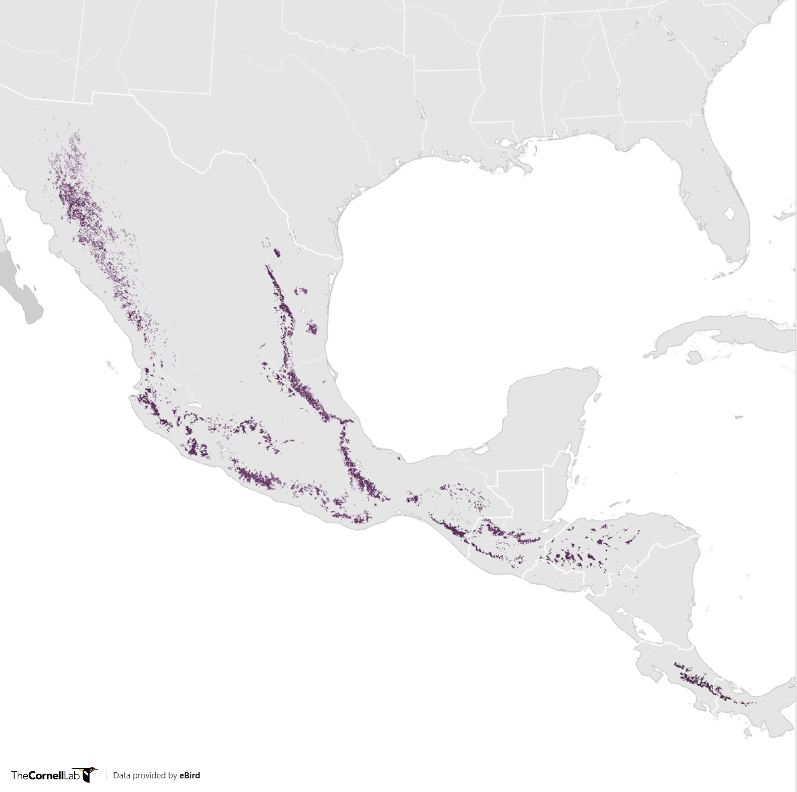Range Map for Flame-Colored Tanager