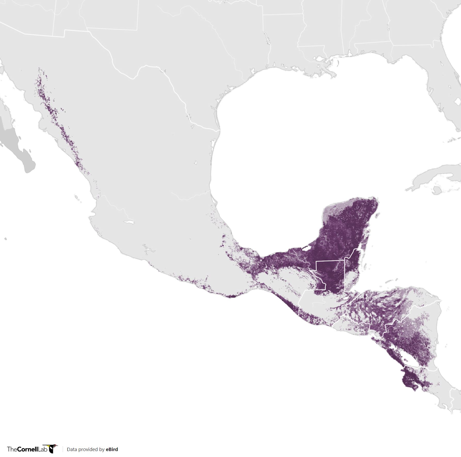 Range Map for White-Fronted Parrot