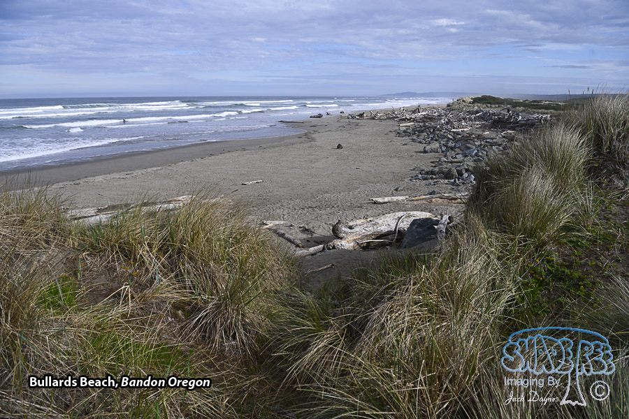 Bullards Beach - Scenery