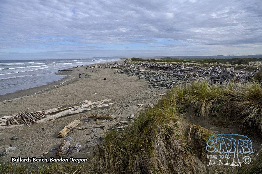 Bullards Beach - Scenery