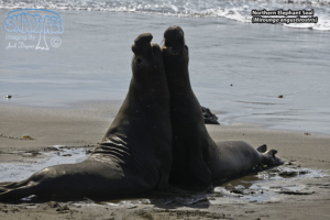 2022-03-04 Friday at Piedras Blancas